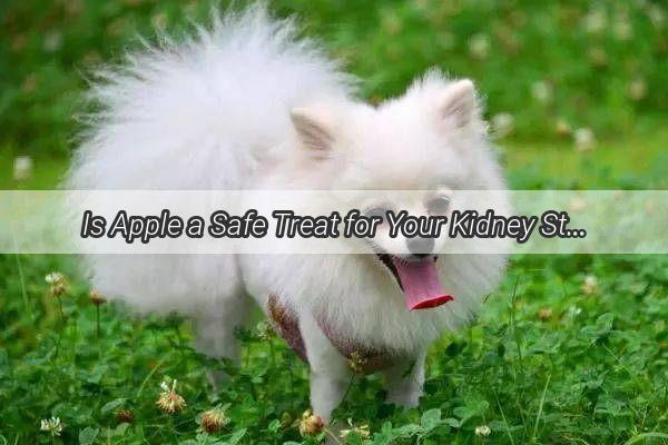 Is Apple a Safe Treat for Your Kidney StonePatient Dog Find Out Now